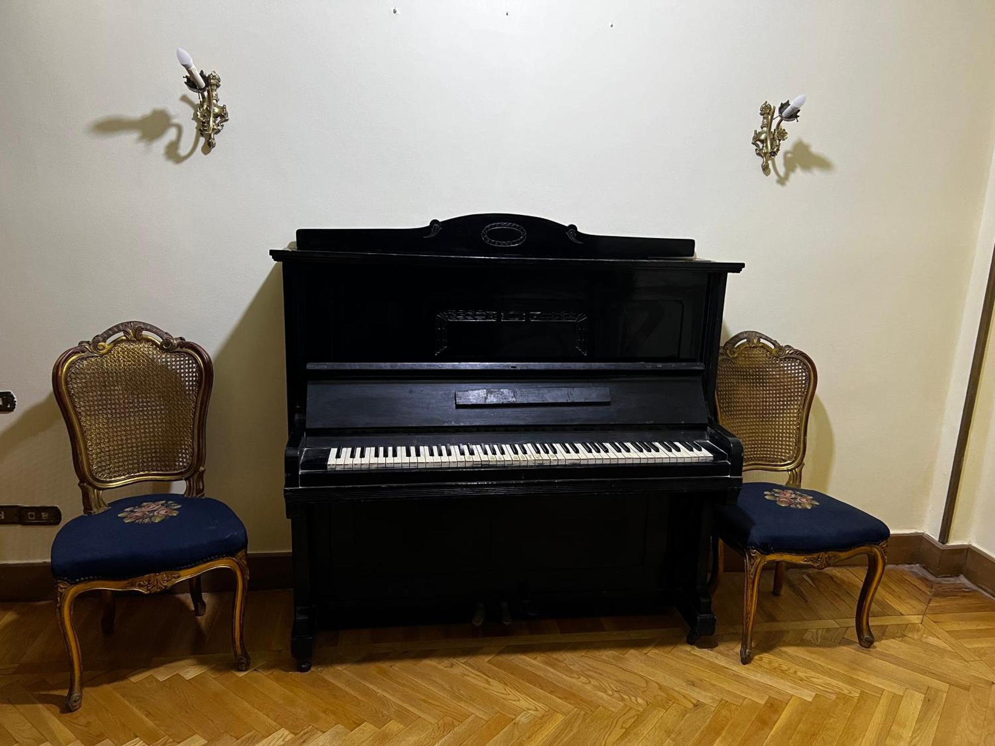 Apartment Vintage Palace